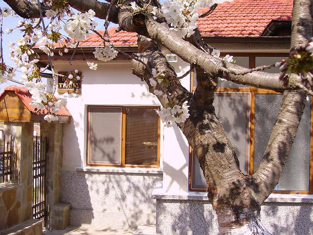 Вила Тияна, гр. Бяла 